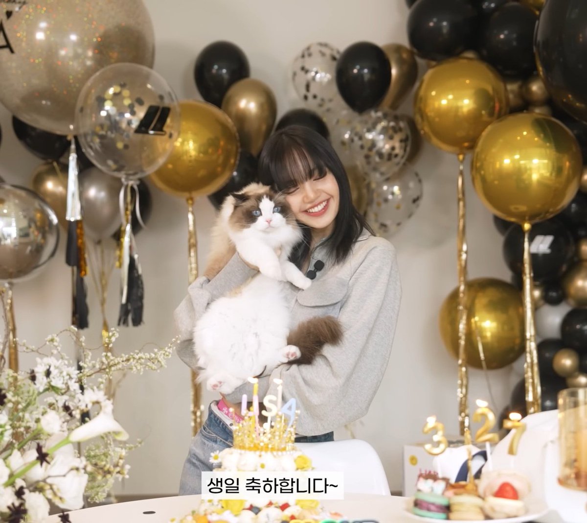 acervo enhapink tweet media