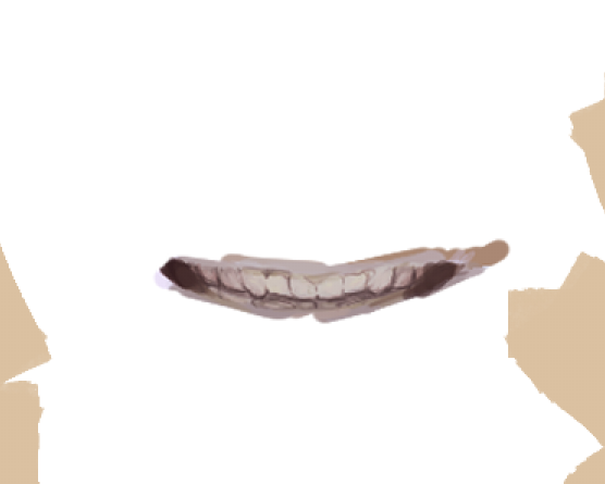 fern🌱 tweet media