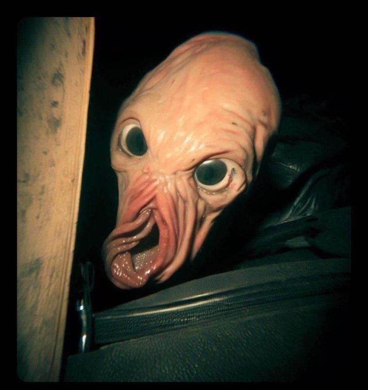 ARABIC BREIZH CHAMAN ✨🧙‍♂️ tweet media