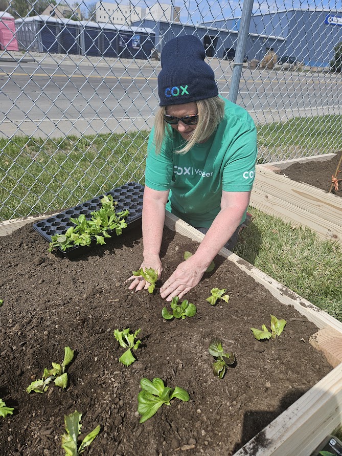 SHARE Omaha tweet media