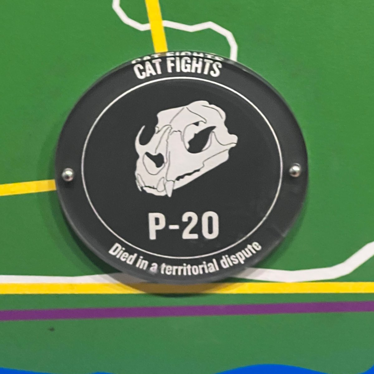 Book Club California tweet media