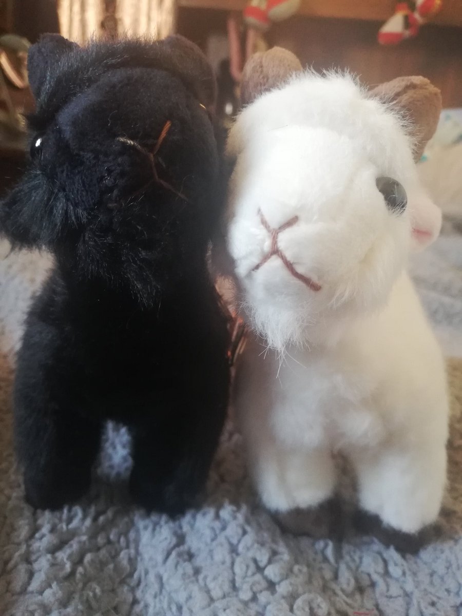 Vay | Vgen Open | Open Comms tweet media