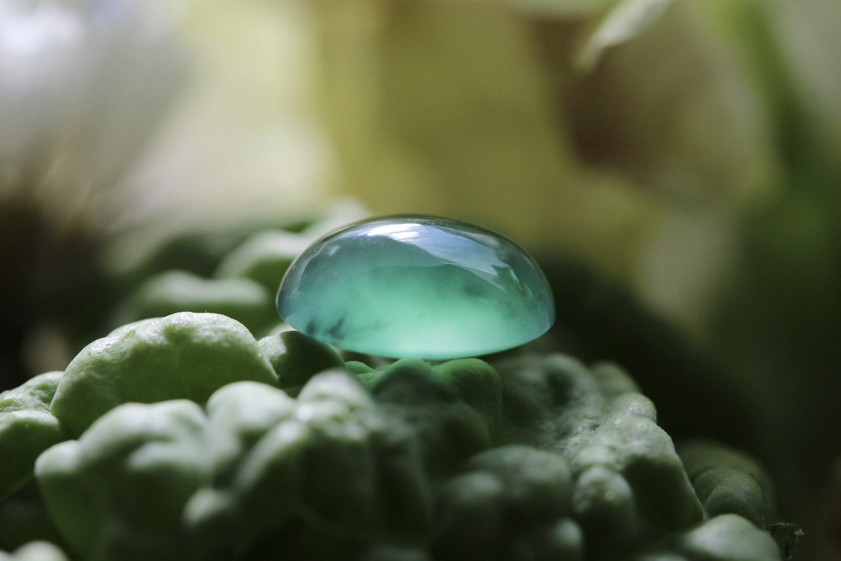 翡翠商のお店 ヤギトレーディング 2026年仙台石フリマ 3月29日（日） 出店✨ tweet media