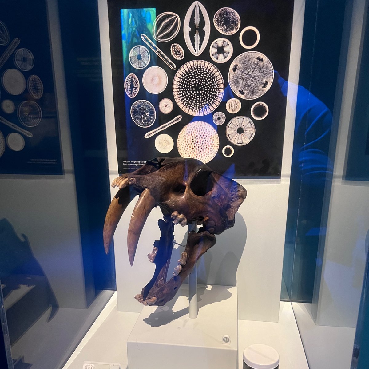 Book Club California tweet media