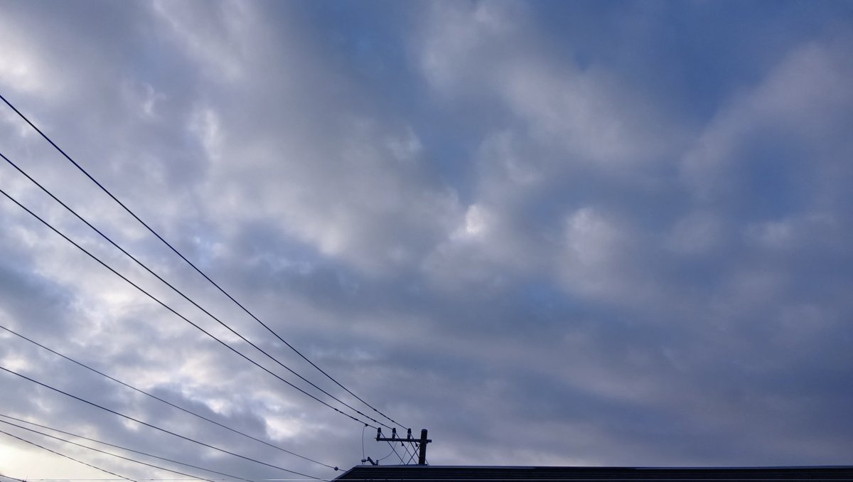 TAKA☆TAKA🍀 🌳🏕️🌳 tweet media