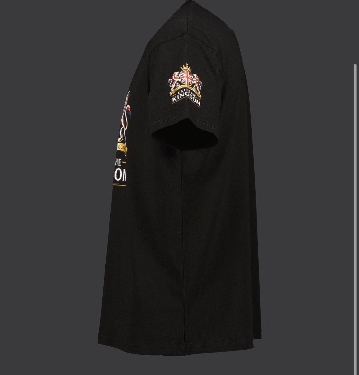 Tommy Robinson 🇬🇧 tweet media