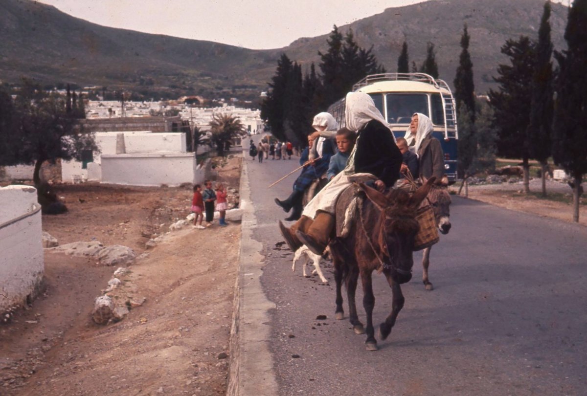 nadidefotograf's tweet photo. Rodos'ta gündelik yaşam, 1965
#Rhodes #Rodi #Ρόδος https://t.co/kOPgJXKV2f