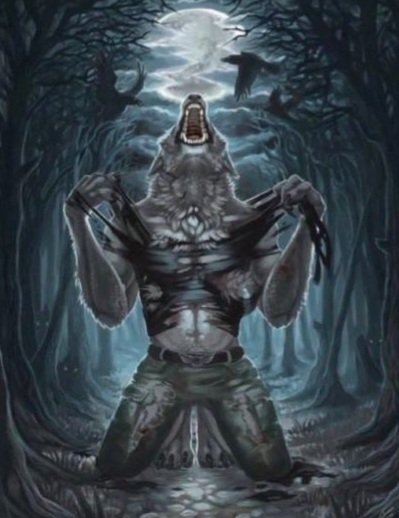 gabriel 🌙 tweet media