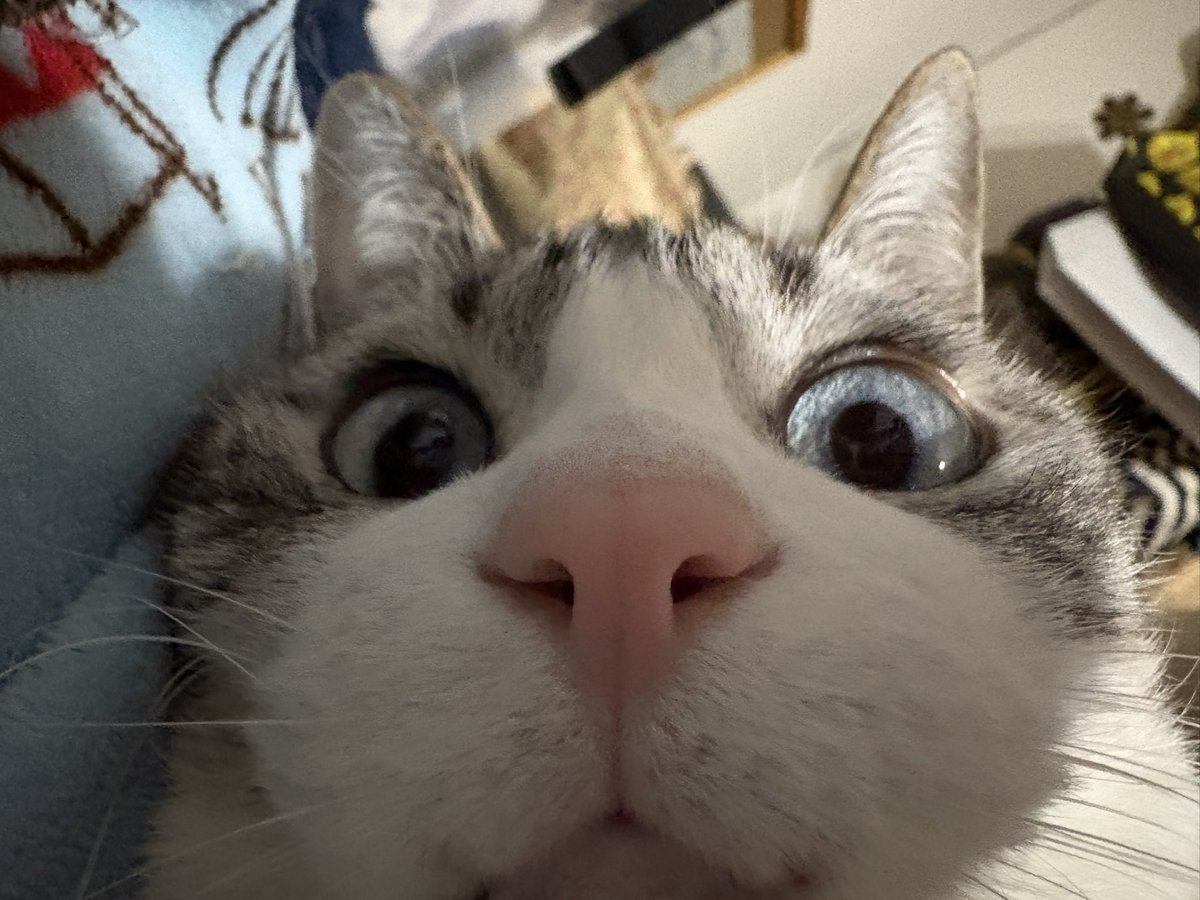 ずんた★もっち tweet media