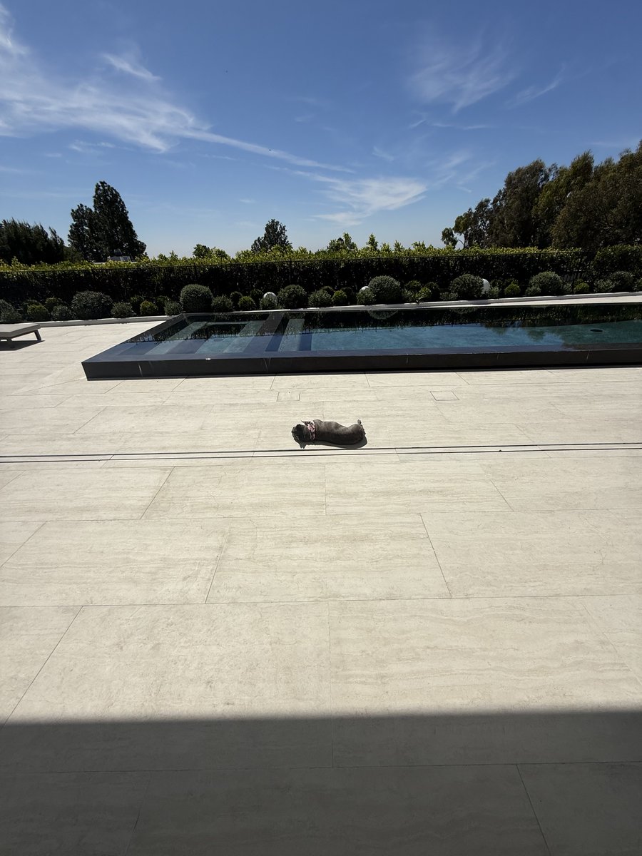 Miles Teller tweet media