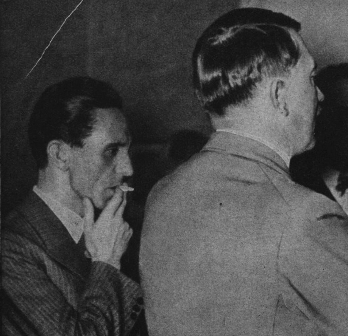 ๐๐๐๐๐๐๐๐ tweet media