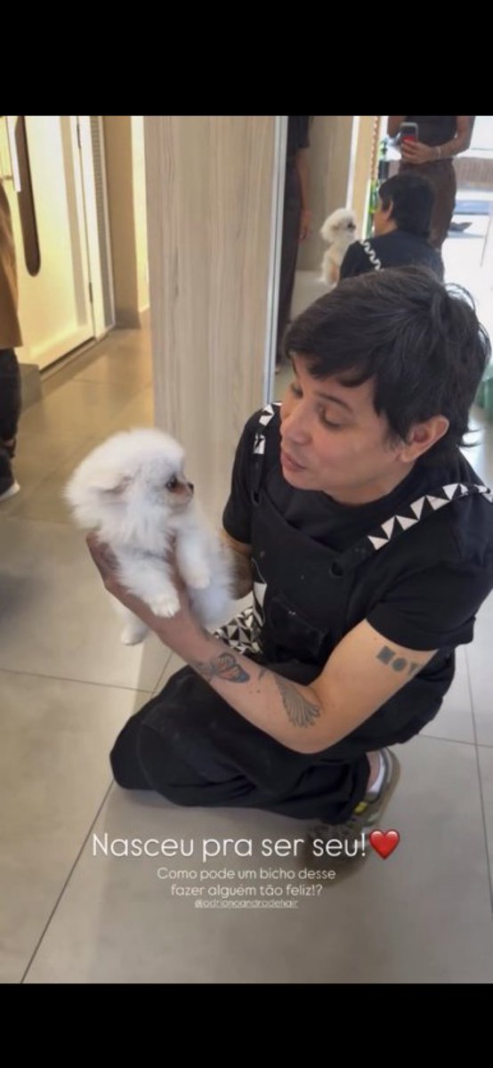 Versinho tweet media