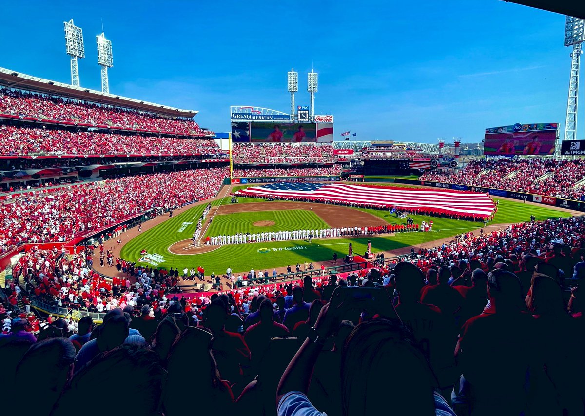 Marisa Contipelli tweet media