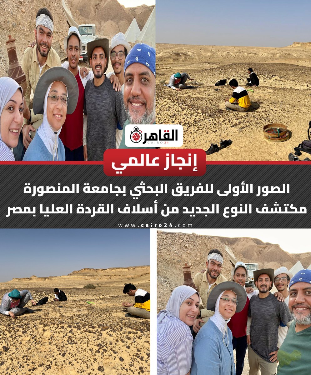 Cairo 24 - القاهرة 24 tweet media