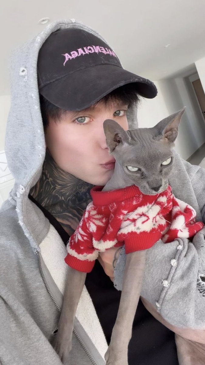 wren☆ 💧 tweet media