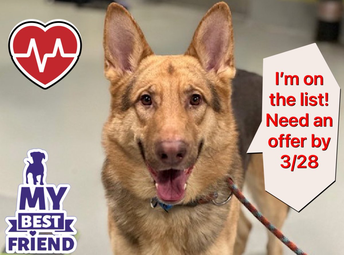 Malimum 🇩🇪 tweet media