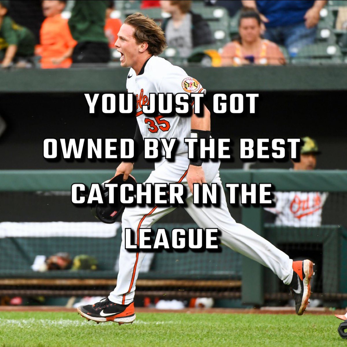 shelby #ExtendGunnar tweet media