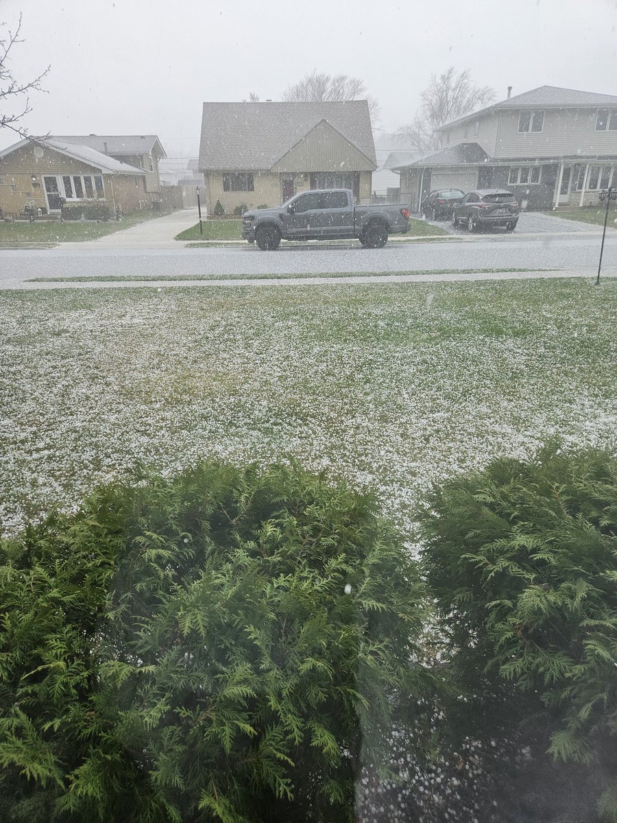 Dan (Law of Averages) tweet media