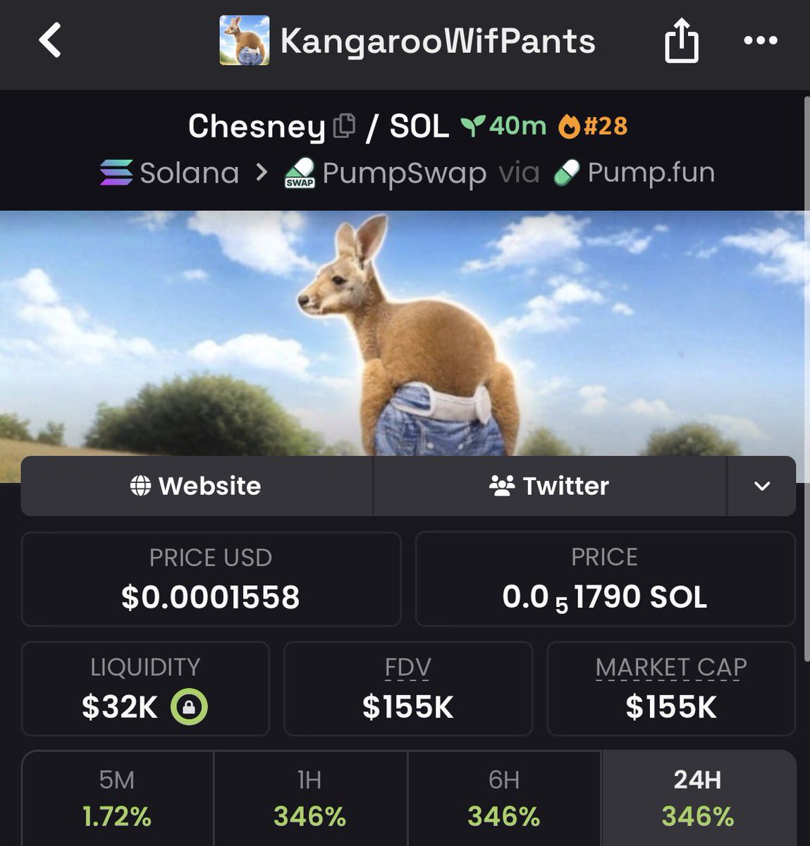 modest degen tweet media