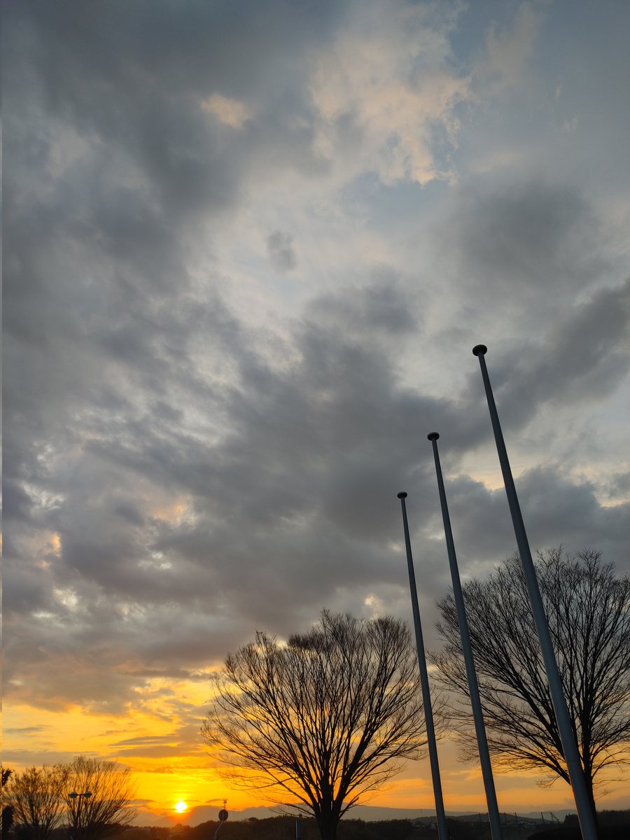 🌐熊本🌐 tweet media