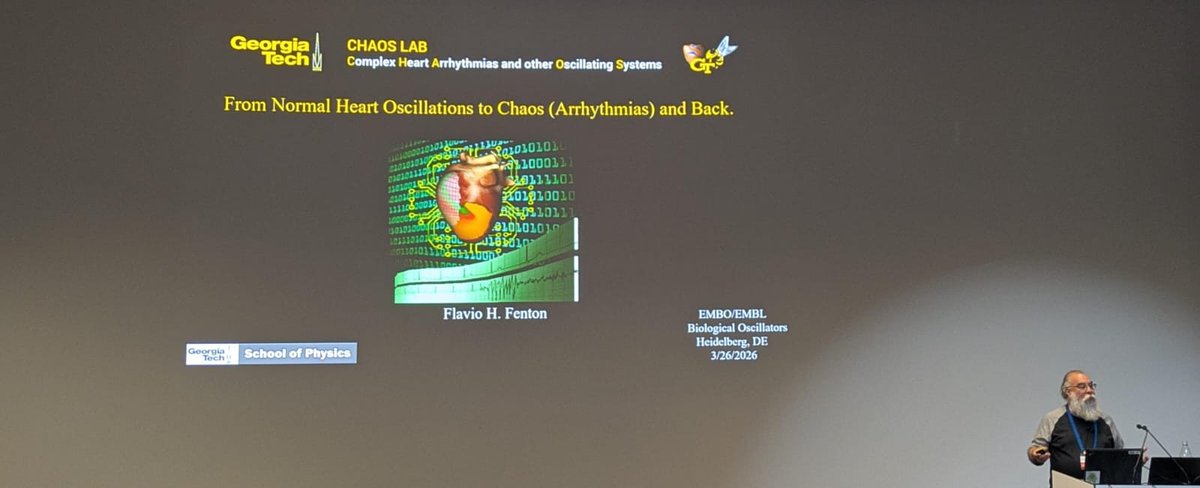 Shwdey's tweet photo. #Flavio Fenton from @GeorgiaTech  delivered a fascinating journey from normal heart rhythms to chaotic arrhythmias — and how systems can return to order @EMBLEvents #EESBioOsc https://t.co/YN5nnkBNID