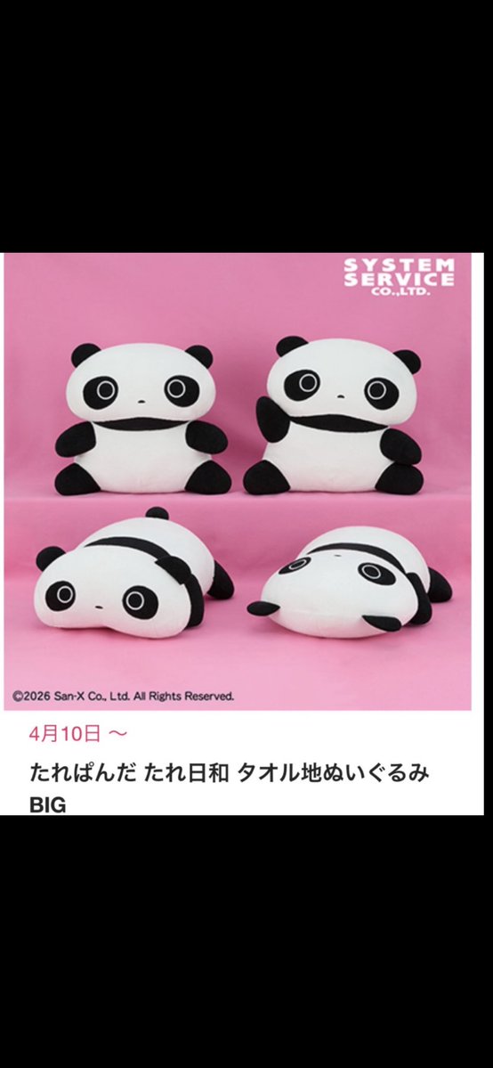 たれマニ(🐼 たれぱんだ マニア🐼) tweet media