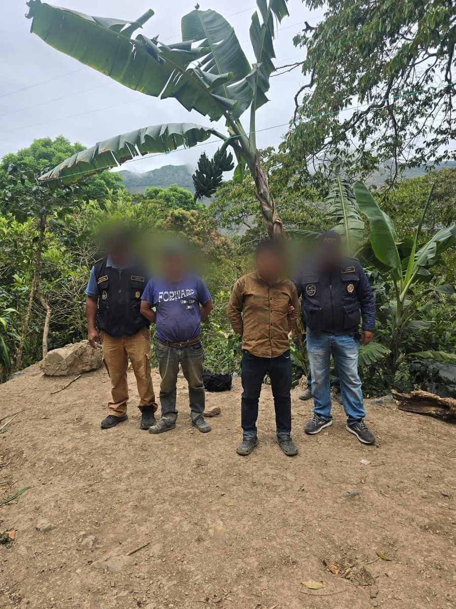 MP de Guatemala tweet media