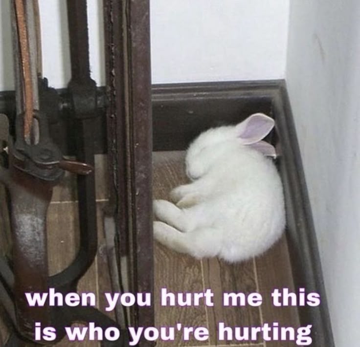 gia ౨ৎ tweet media