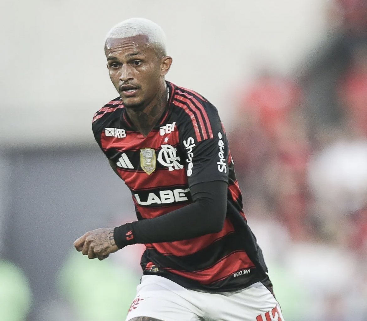 Fred Sincero tweet media