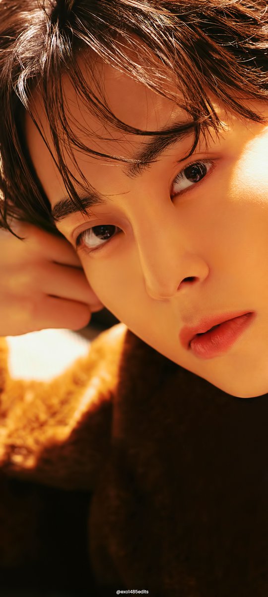 엑소1485 tweet media