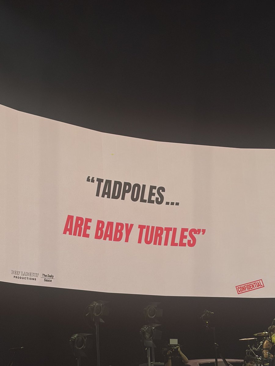 5SOS UPDATES ESPAÑOL ★ | #DublinIsAStar #EASDublin tweet media