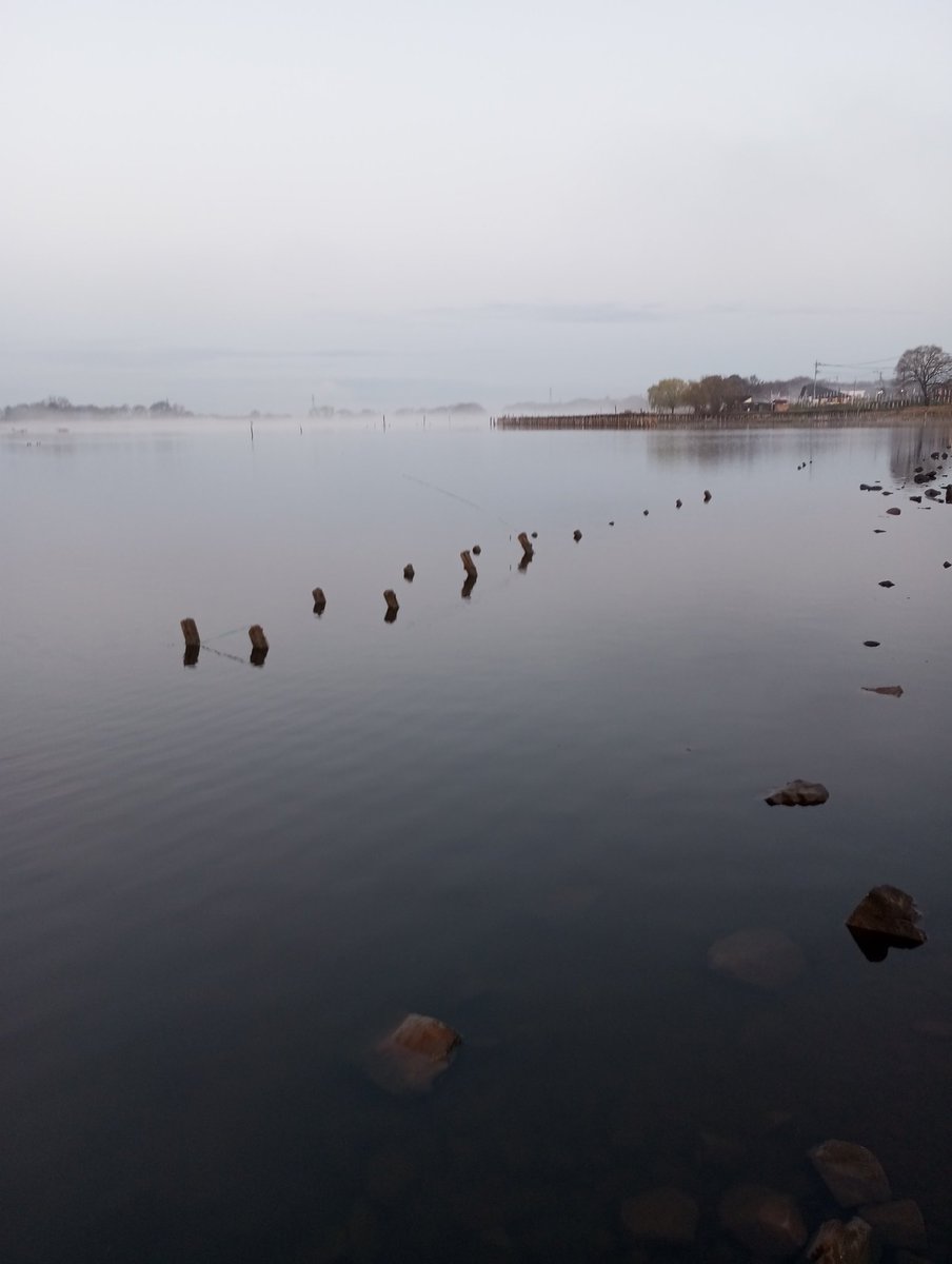 天羽セロニアス時貞 tweet media