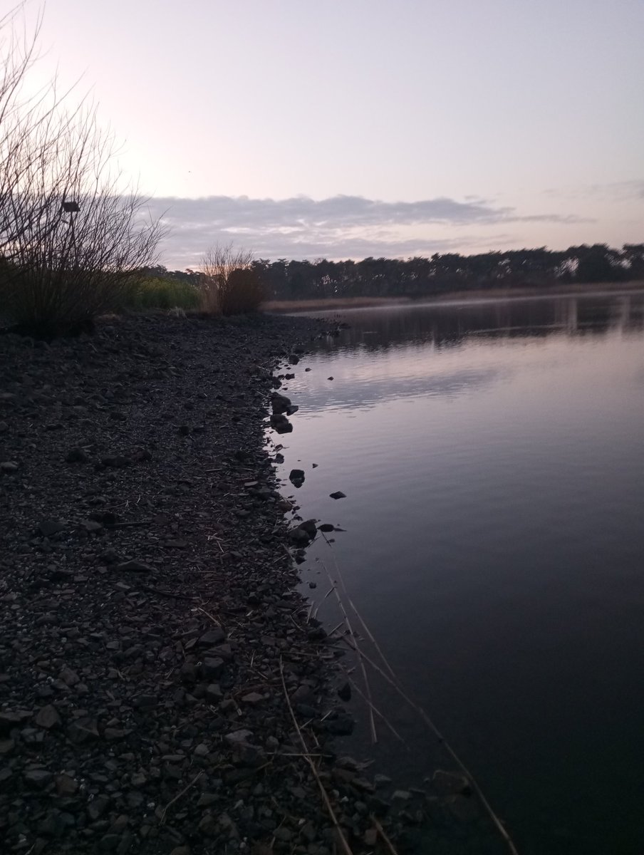 天羽セロニアス時貞 tweet media