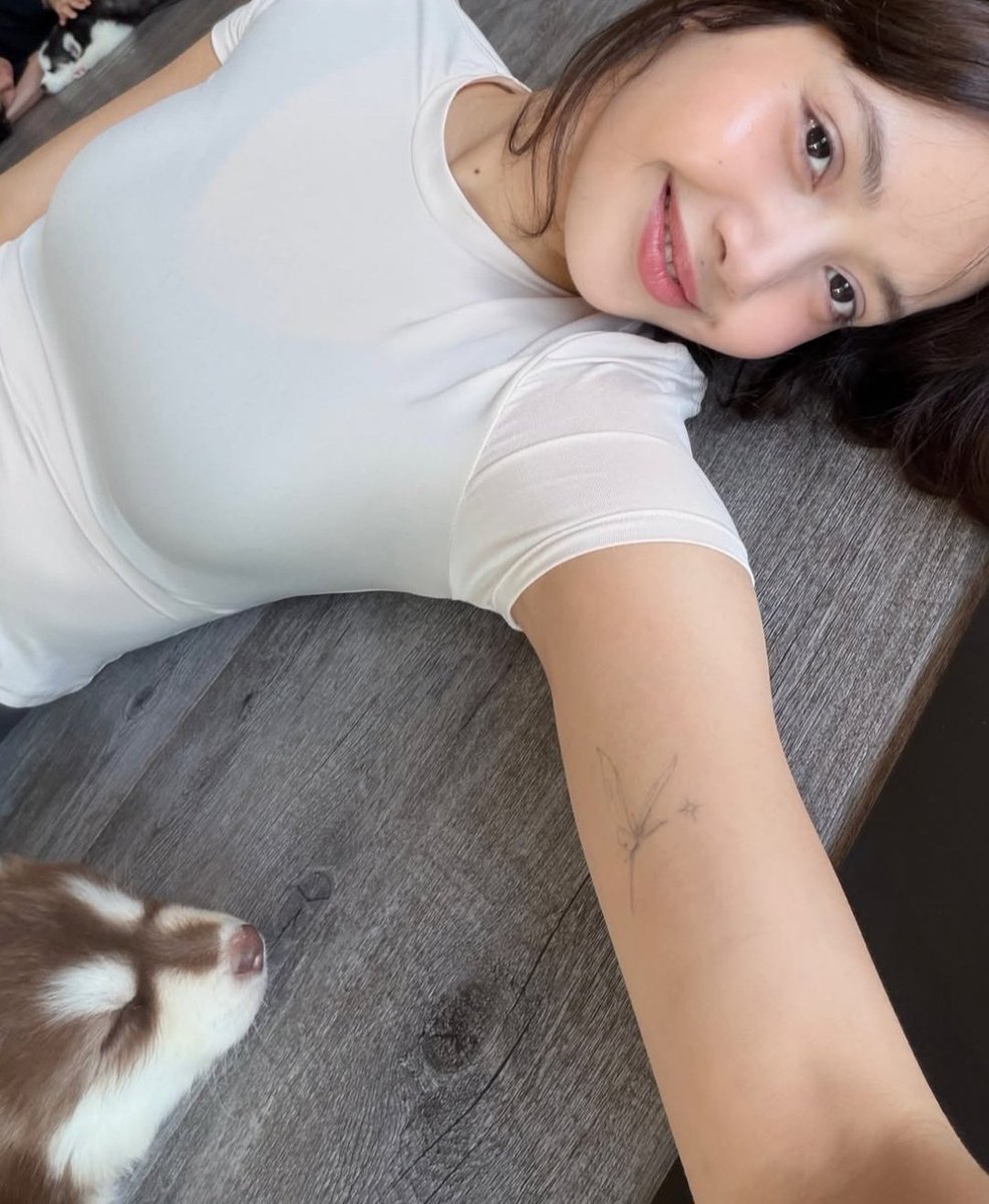 acervo enhapink tweet media