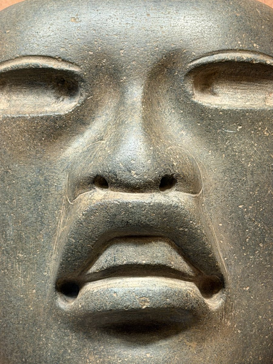 Tlatoani_Cuauhtemoc tweet media