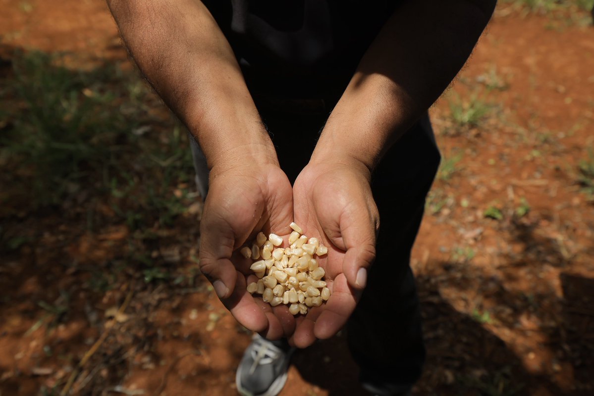Gobierno de Guatemala 🇬🇹 tweet media