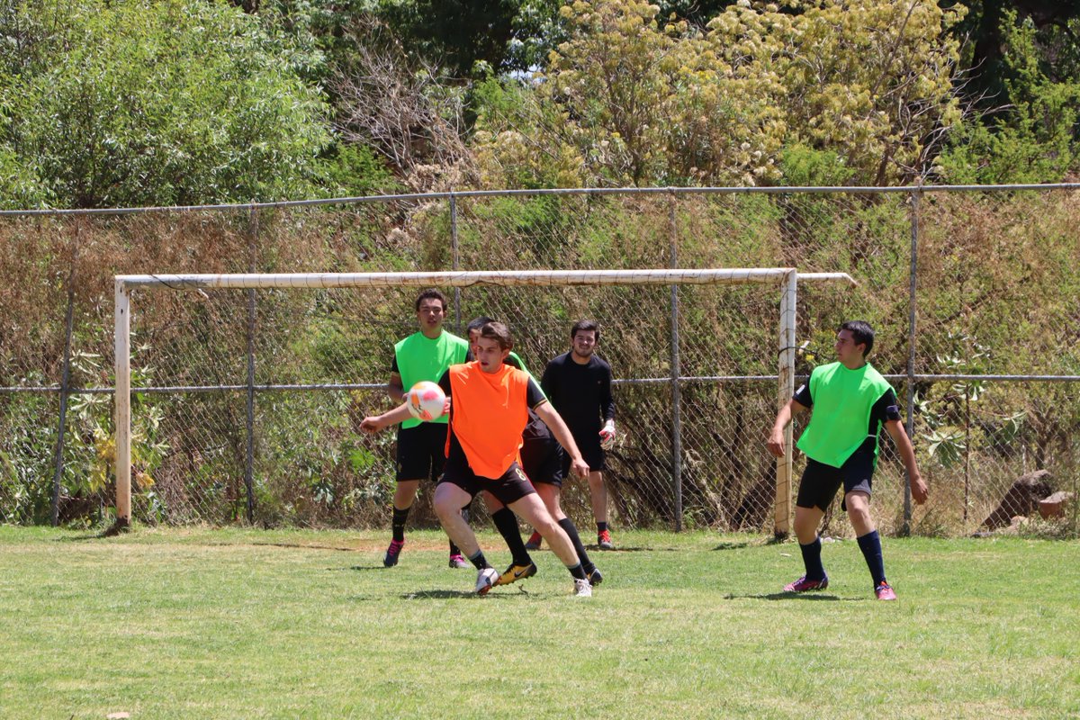 Centro Universitario de Los Altos tweet media