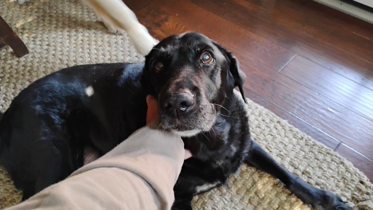 ☦️🇺🇲𒉭Nick Dickem𒉭🇺🇲☦️ tweet media