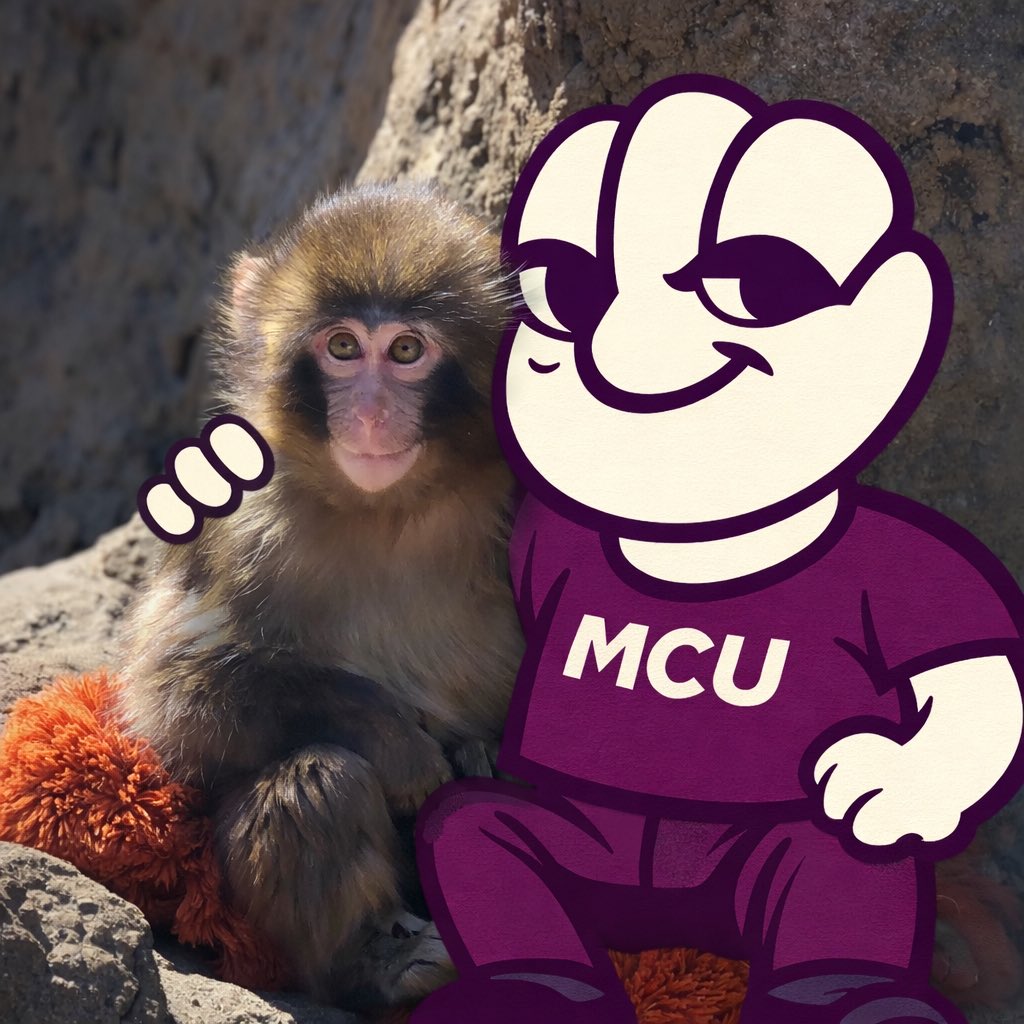 Meme Credit Union tweet media