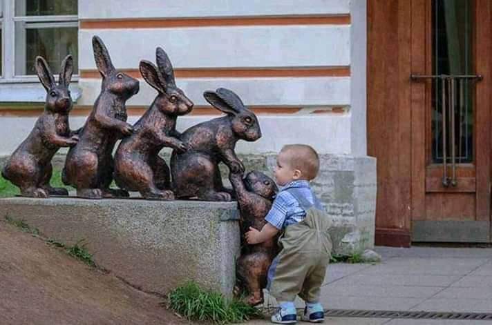 الجميل في لقطة الطفل هو "عدم التمييز"؛ فهو لم يرَ في الأرانب مجرد تماثيل جامدة، بل رأى كائنات تحتاج للمساعدة. هذا يجسد الفطرة السليمة التي تميل لمساندة الآخرين دون تفكير في النتائج أو المصلحة الشخصية