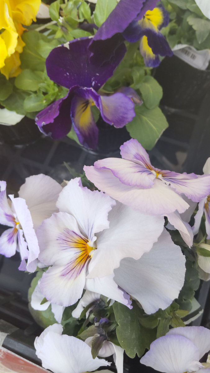 のりのりこ🇺🇦✊ tweet media