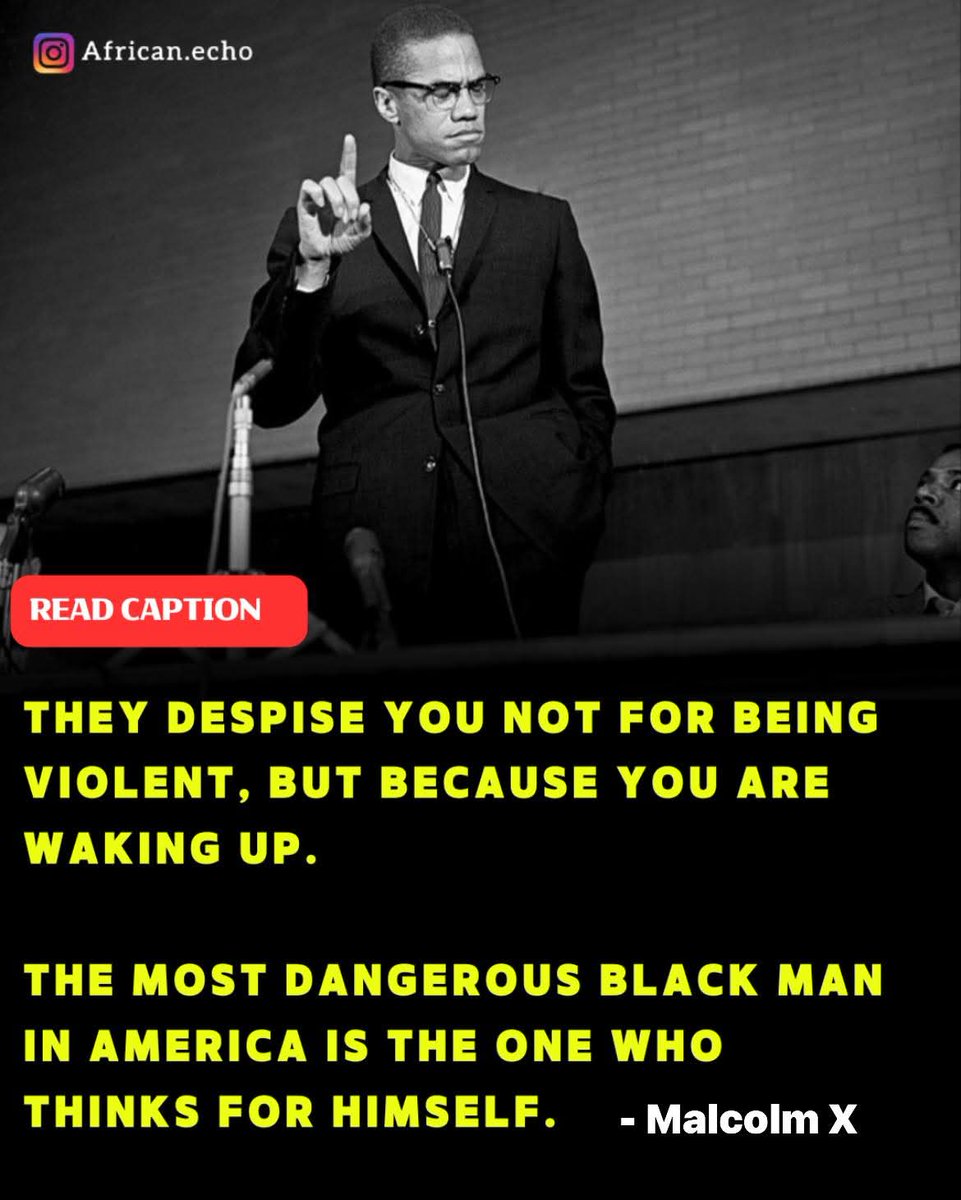 WE HAVE NO FRIENDS/BY ANY MEME NECESSARY tweet media