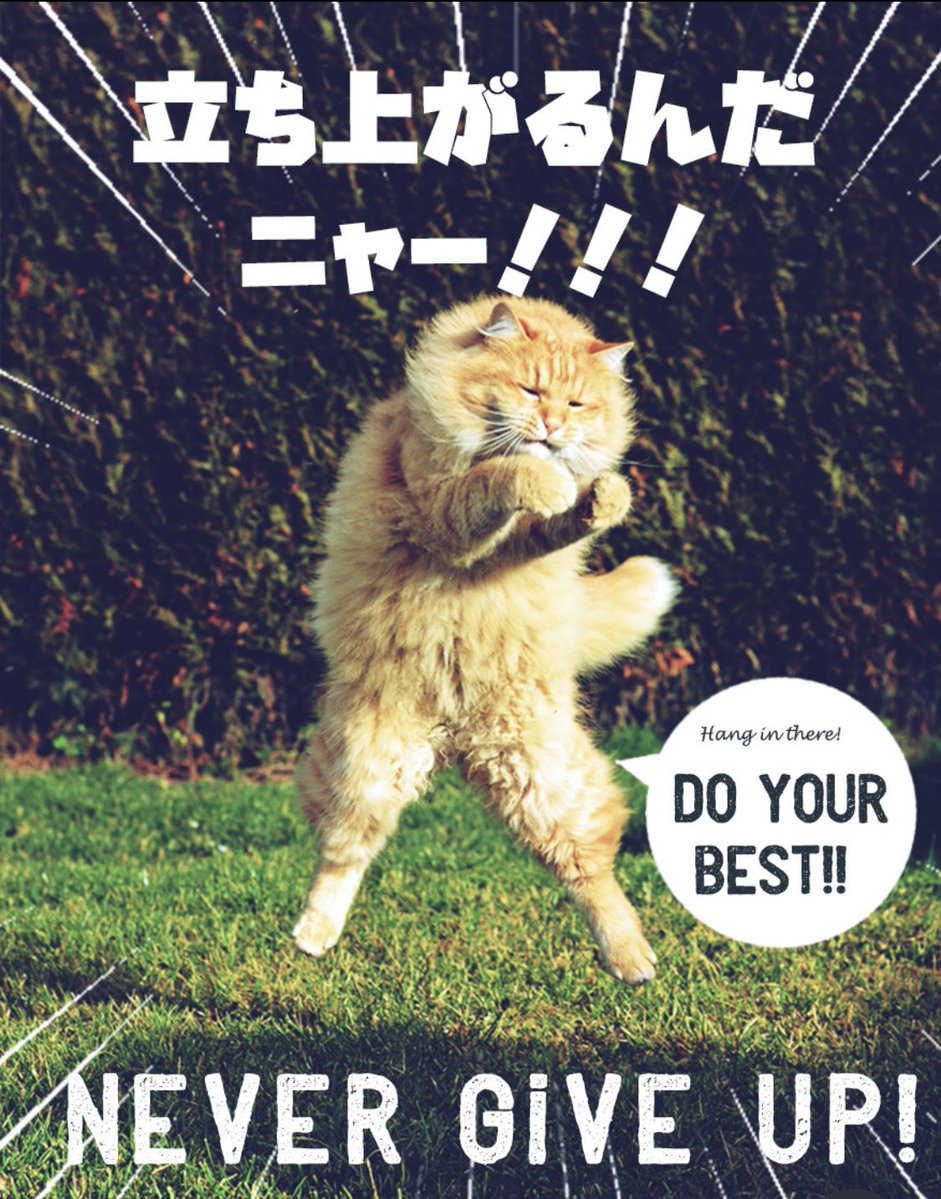 さっきー✨兼業ﾄﾚｰﾀﾞｰ tweet media