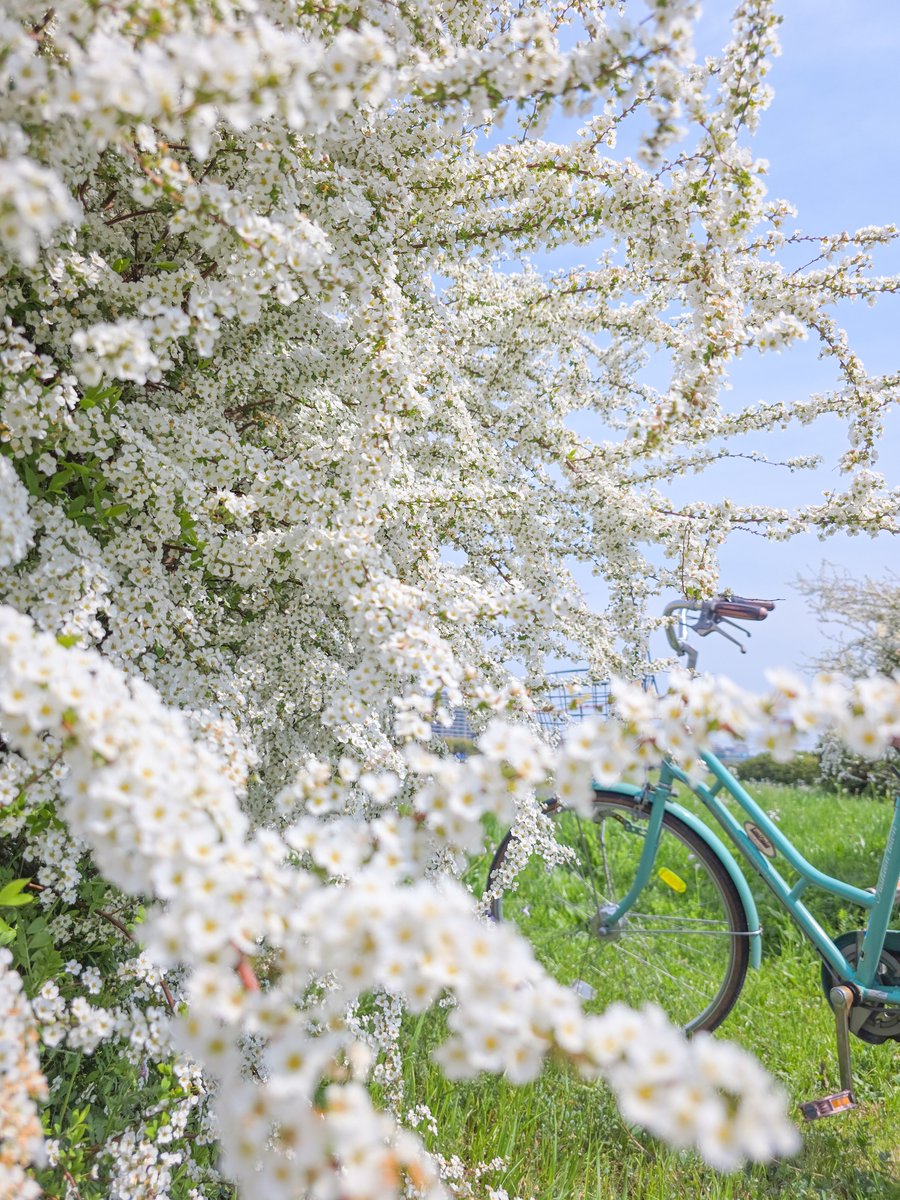 そらそこ tweet media