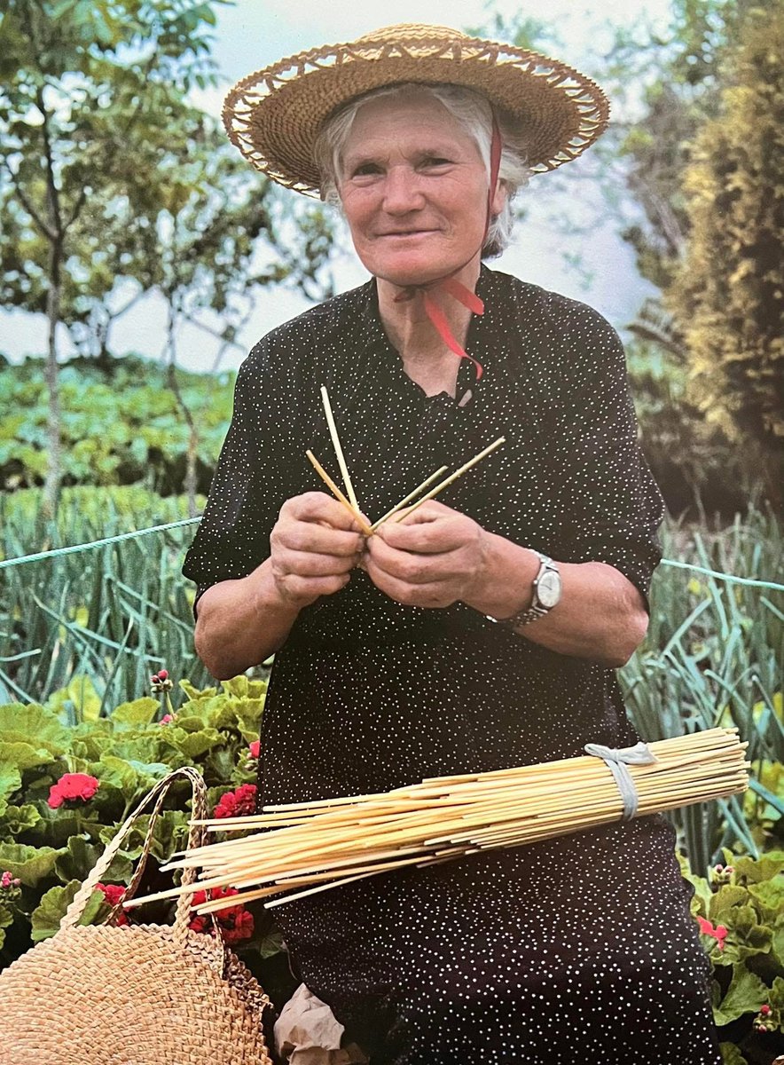 Santiago Garrido tweet media