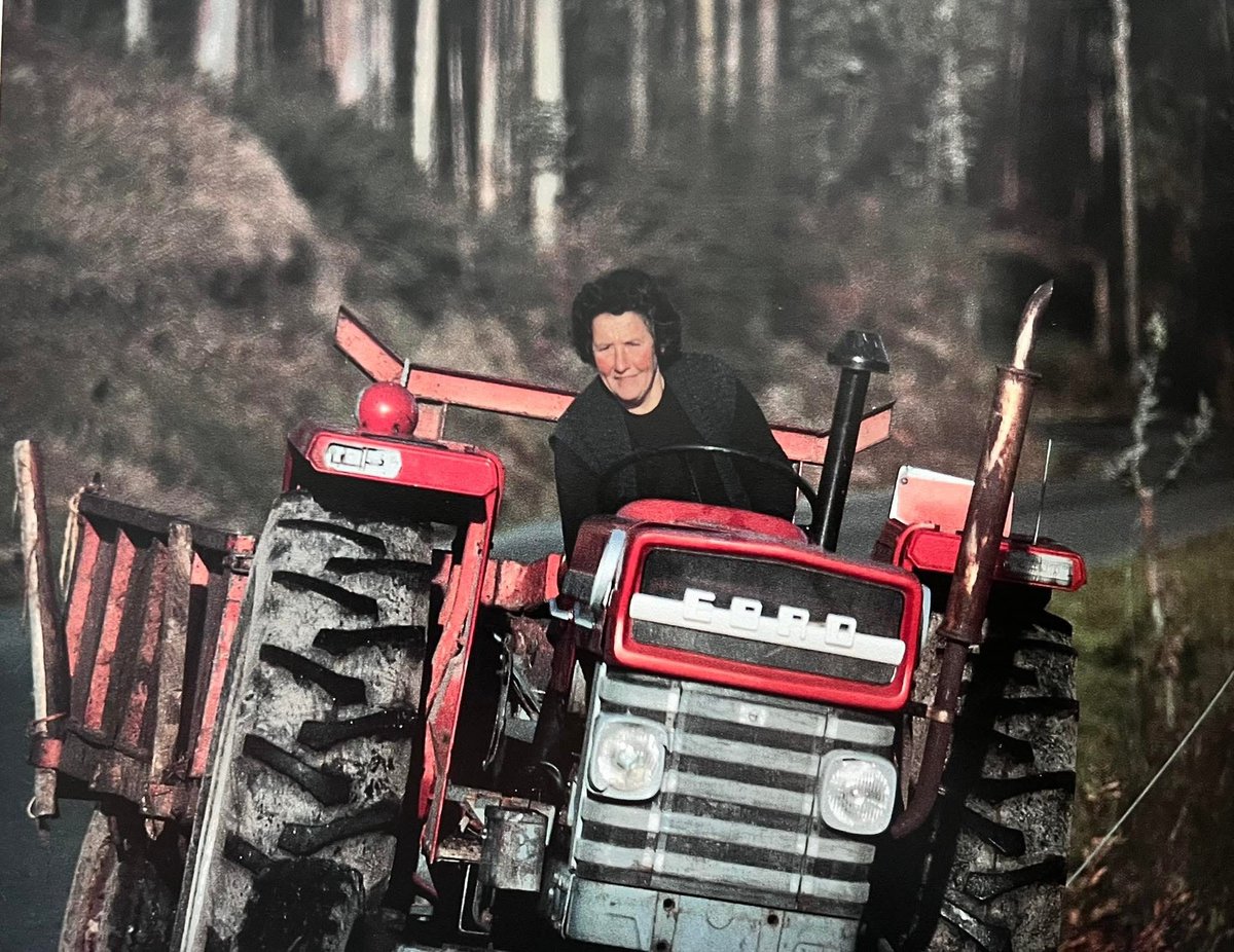 Santiago Garrido tweet media