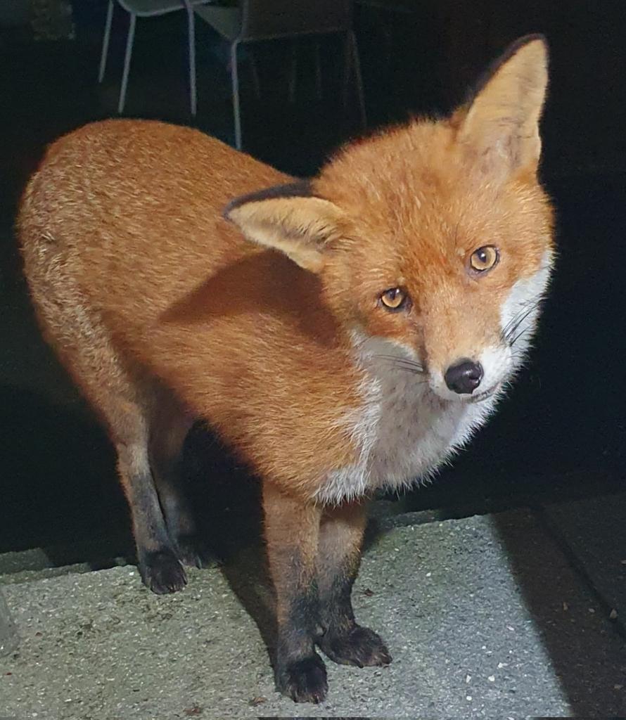 Siobhean 🖤 tweet media