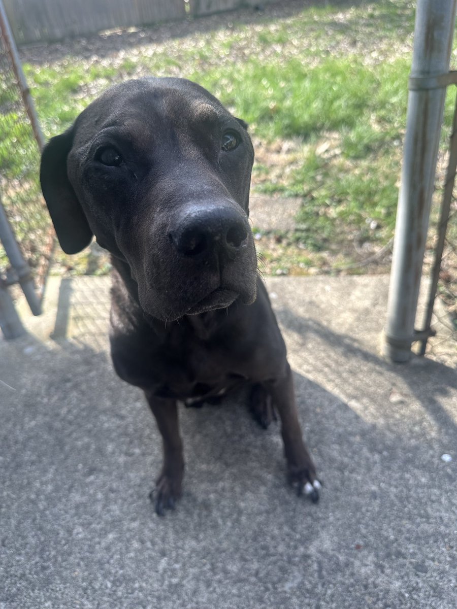 ѕαяαн☺︎ 👽🛸 tweet media