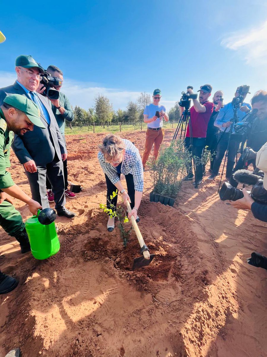 Finland in Morocco tweet media