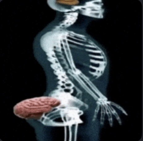 עַם יִשְׂרָאֵל חַי tweet media